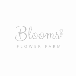 Excellent Prices Tree Services