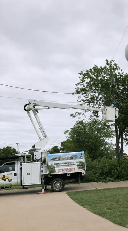 Excellent Prices Tree Services