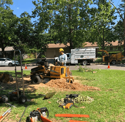 Excellent Prices Tree Services