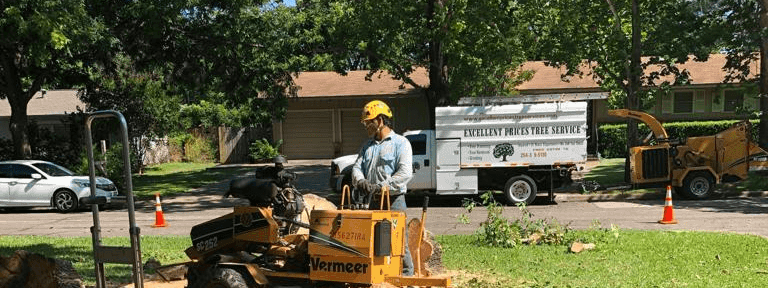 Excellent Prices Tree Services