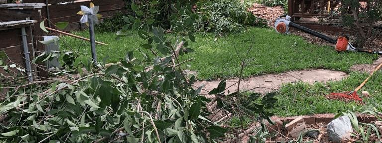 Excellent Prices Tree Services
