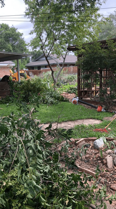 Excellent Prices Tree Services