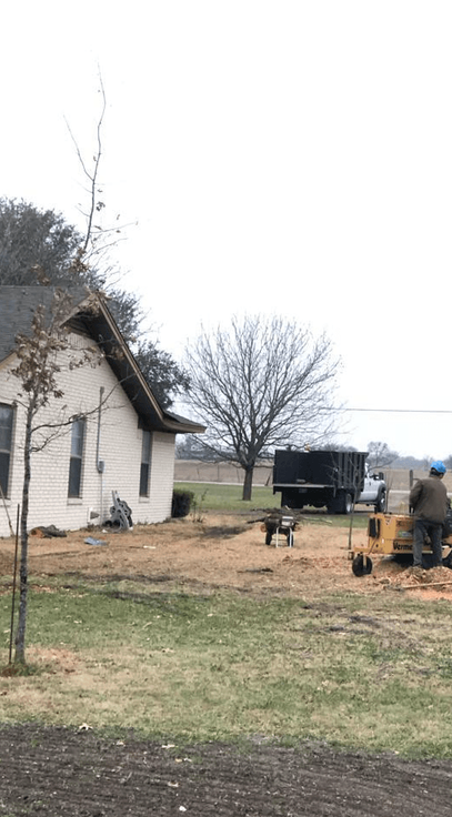 Excellent Prices Tree Services